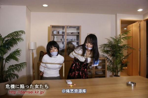 jpdamsel - 20120115 もし泥棒に�uわれたら 第 24 张图片