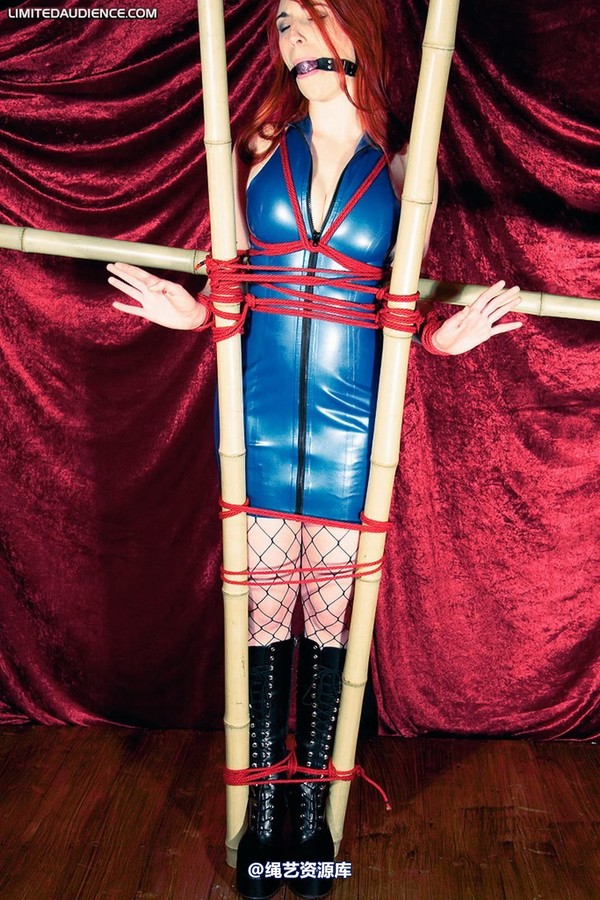 limitedaudience - 2009 ivory bamboo torment 2 第 27 张图片