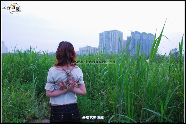 千丝万缕 - 2008-04-29-4日 第 53 张图片