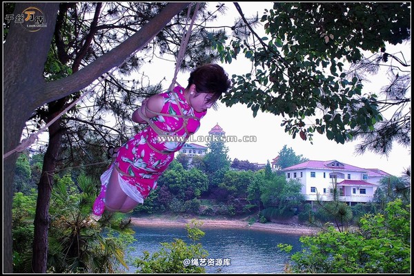 千丝万缕 - 2008-04-23-1日照片 第 37 张图片