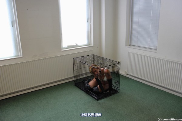 boundlife - bl446 第 42 张图片
