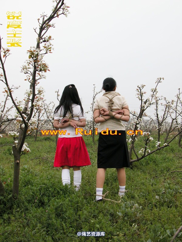锐度主张 - 婷婷和寒冰梨花林中 第 6 张图片
