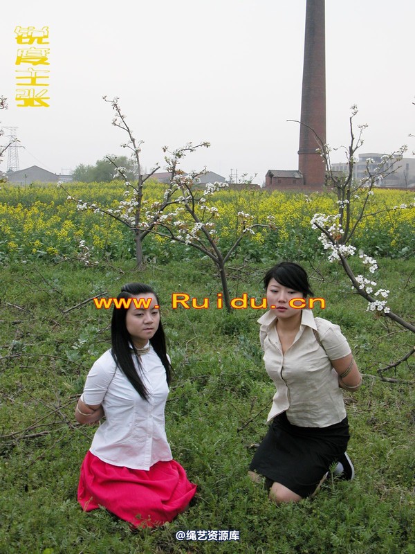 锐度主张 - 婷婷和寒冰梨花林中 第 64 张图片