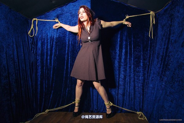 limitedaudience - 2013 ivory not what she meant 2 第 34 张图片
