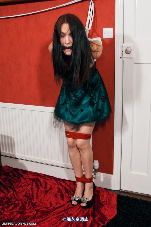 limitedaudience - 2011 elyssia experimental punishment 2 第 17 张图片