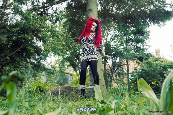 limitedaudience - 2012 andromedax bound to a tree 第 30 张图片