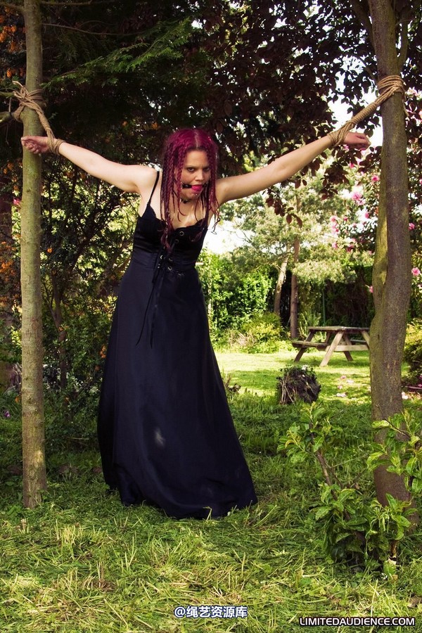 limitedaudience - 2010 beckykat between trees 第 16 张图片