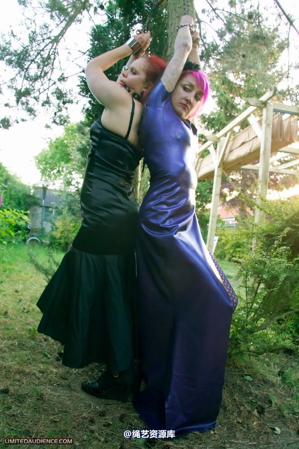 limitedaudience - 2011 beckykat loltaru chained tree seesaw 第 30 张图片