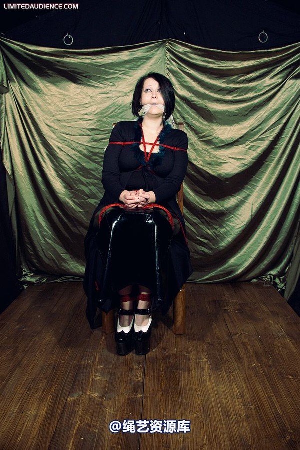 limitedaudience - 2009 deception helpless prisoner 第 33 张图片