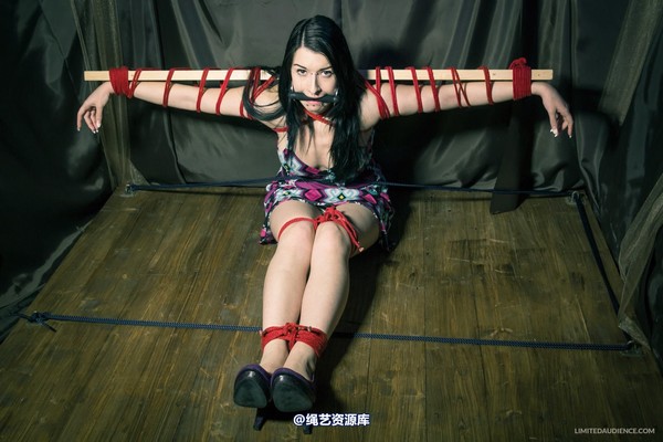 limitedaudience - 2013 stacey von time challenge 2 第 1 张图片