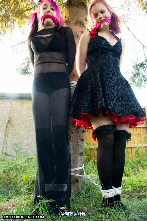 limitedaudience - 2011 beckykat loltaru moored to tree 2 第 8 张图片
