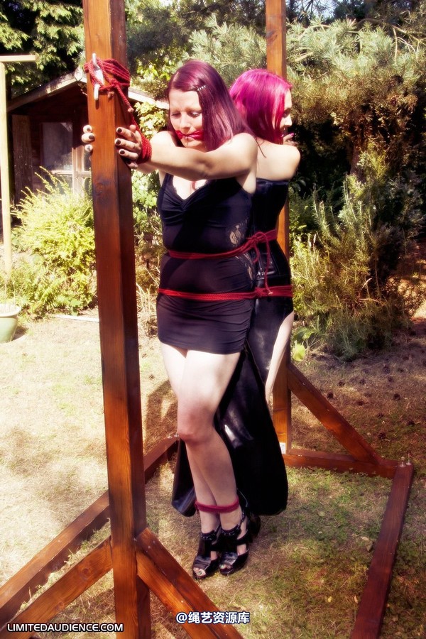 limitedaudience - 2011 elyssia violet reign two for one 2 第 21 张图片
