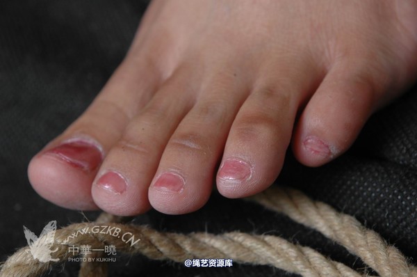 中华一晓 - 中华一晓 NO.1064 第 84 张图片