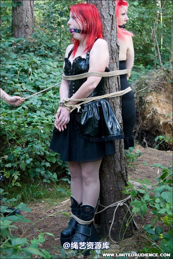 limitedaudience - 2007 asphyxia b nattsuko lost in the woods 第 52 张图片