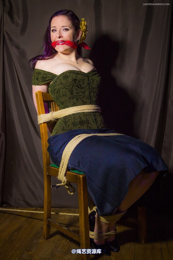 limitedaudience - 2014 caroline pierce captured damsel 2 第 5 张图片