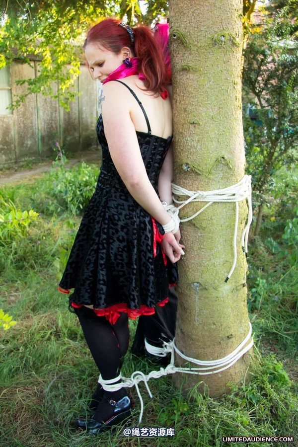 limitedaudience - 2011 beckykat loltaru moored to tree 第 3 张图片