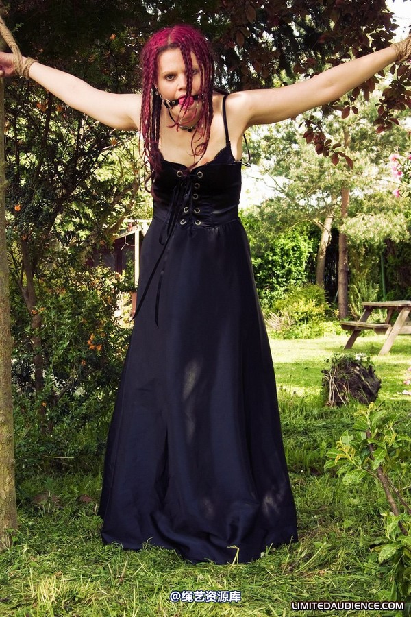 limitedaudience - 2010 beckykat between trees 第 10 张图片