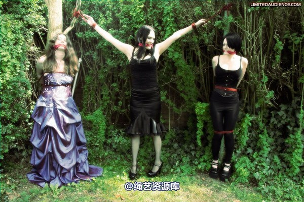 limitedaudience - 2009 catya elyssia lolly pleasure reserves 2 第 1 张图片