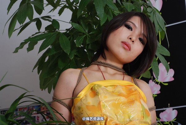 唯美之家 - 书兰-黄礼服 第 26 张图片