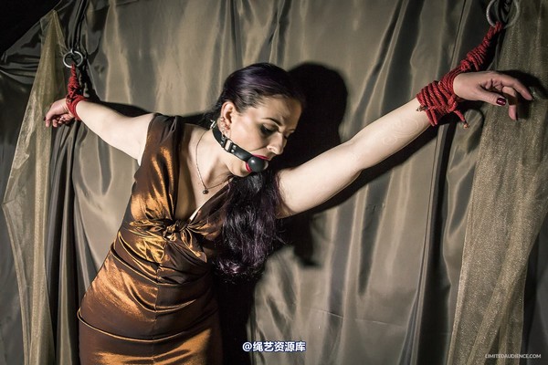 limitedaudience - 2014 caroline pierce bondage in bronze 第 24 张图片