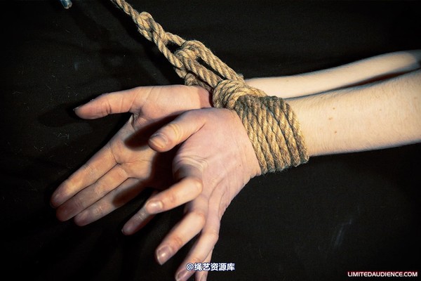 limitedaudience - 2010 catya lex eleven in the dungeon 2 第 19 张图片