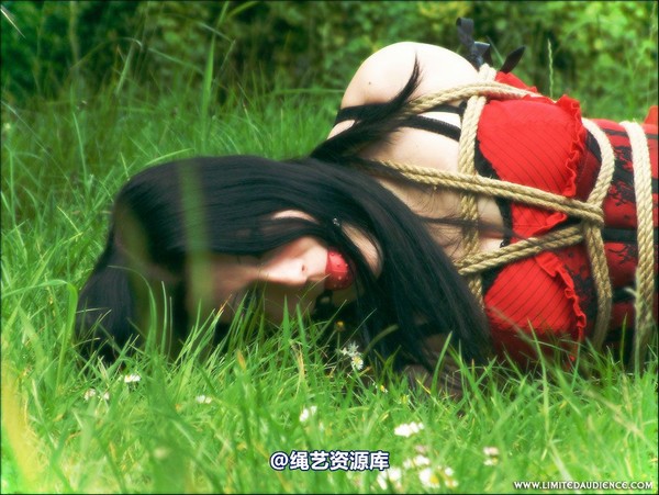 limitedaudience - 2007 asphyxia tied in red 第 29 张图片