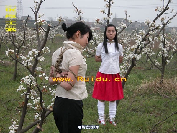 锐度主张 - 婷婷和寒冰梨花林中 第 16 张图片