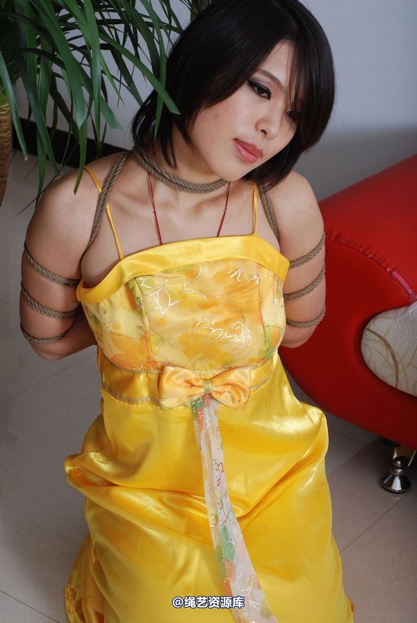 唯美之家 - 书兰-黄礼服 第 90 张图片