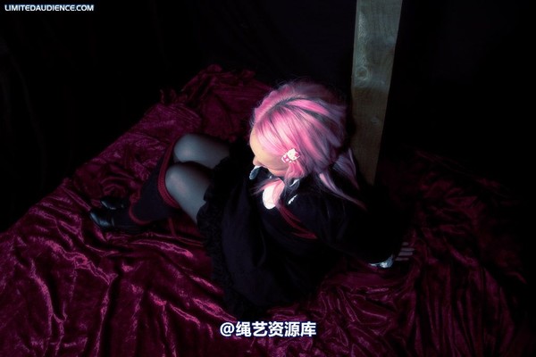 limitedaudience - 2009 assisted suicide taken 第 1 张图片