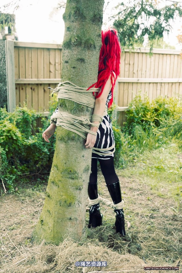 limitedaudience - 2012 andromedax bound to a tree 第 7 张图片