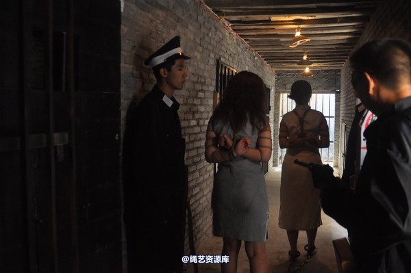 mj影视 - 凤凰烈焰 第 539 张图片