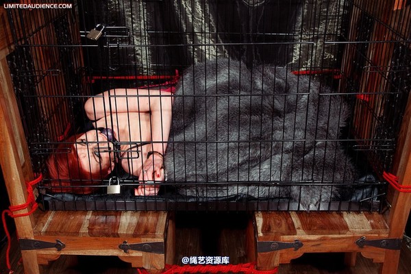 limitedaudience - 2010 madison rouge caged and displayed 2 第 12 张图片
