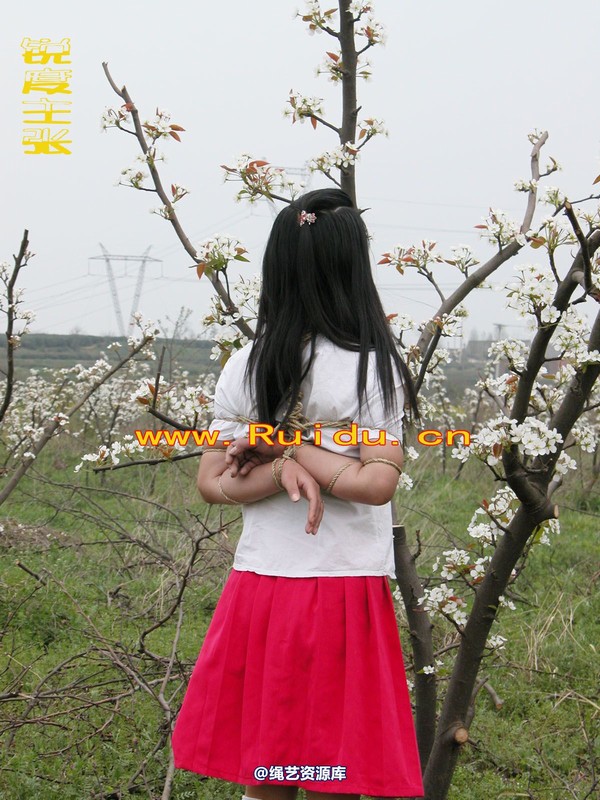 锐度主张 - 婷婷和寒冰梨花林中 第 37 张图片