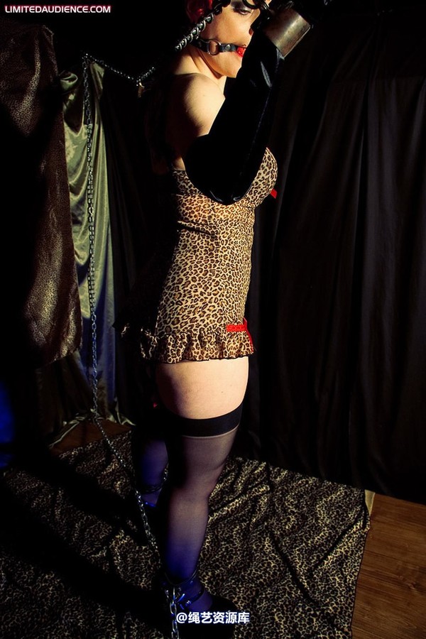 limitedaudience - 2010 raevan captured huntress 2 第 3 张图片
