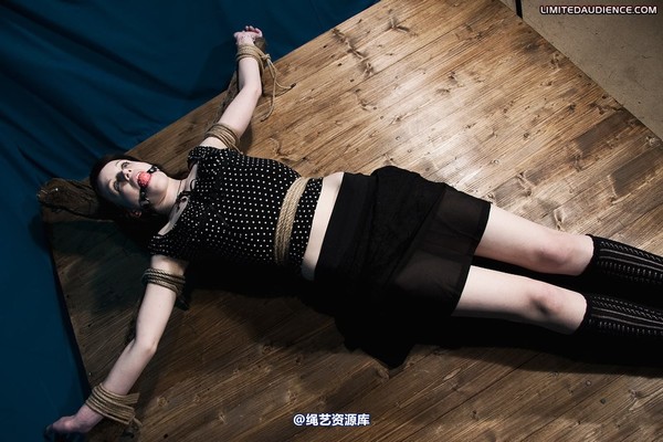 limitedaudience - 2010 luisa helpless to resist 第 9 张图片