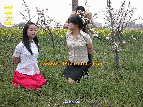 锐度主张 - 婷婷和寒冰梨花林中 第 60 张图片