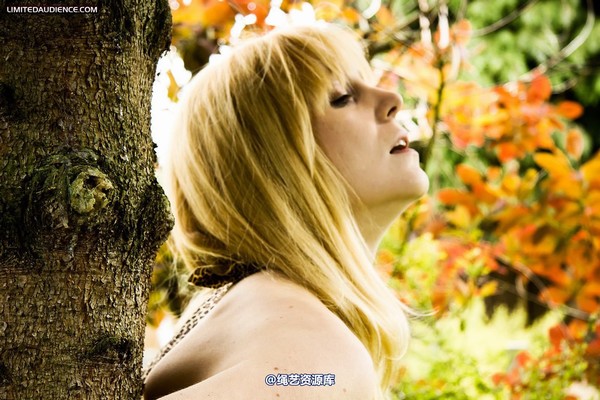 limitedaudience - 2011 ariel tied to a tree 第 19 张图片