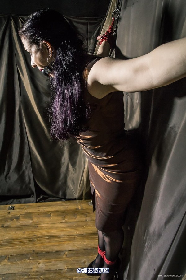 limitedaudience - 2015 caroline pierce bondage in bronze 2 第 3 张图片
