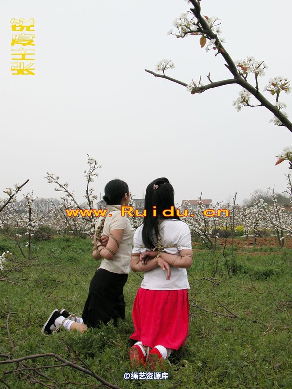 锐度主张 - 婷婷和寒冰梨花林中 第 50 张图片