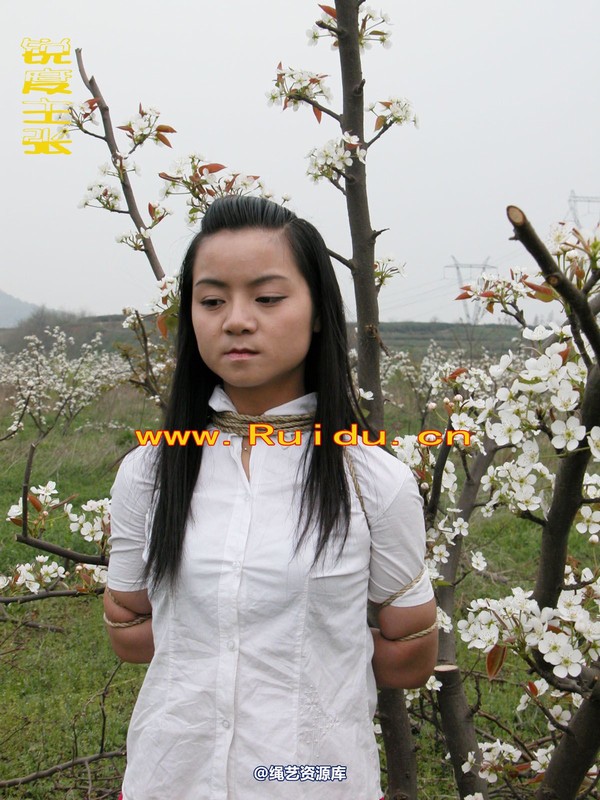 锐度主张 - 婷婷和寒冰梨花林中 第 32 张图片