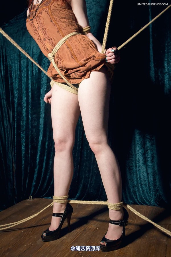 limitedaudience - 2013 syrah lee rope web 2 第 14 张图片