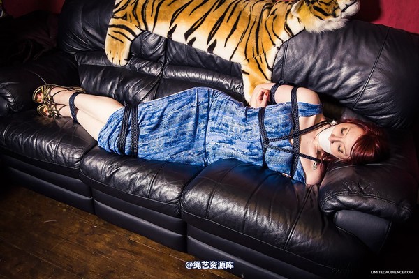 limitedaudience - 2014 syrah lee bound damsel 2 第 24 张图片