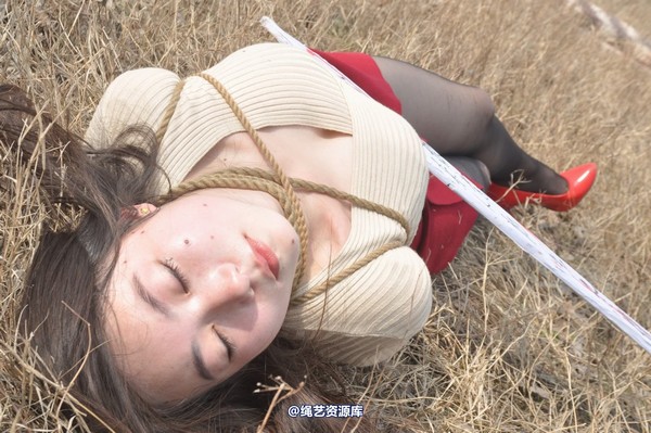 mj影视 - 车模梅晓雯 第 392 张图片