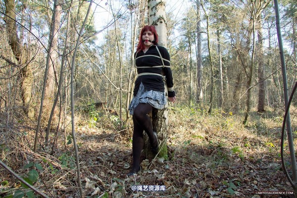 limitedaudience - 2012 scarlett stuck in the woods 2 第 16 张图片