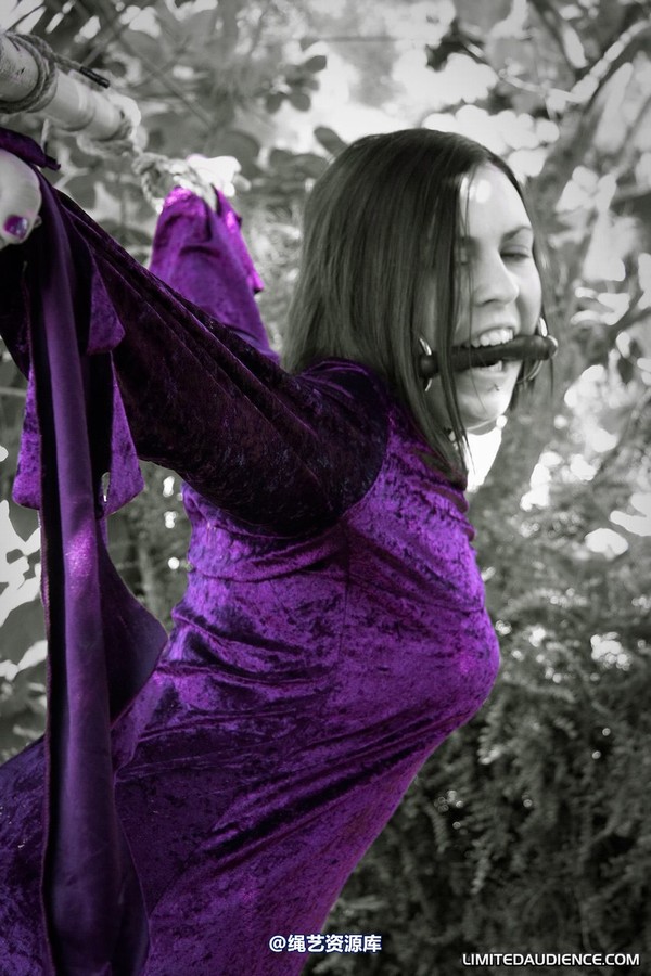 limitedaudience - 2011 carmina unwilling offering 2 第 1 张图片