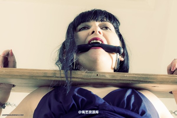 limitedaudience - 2013 dynamo stock 第 20 张图片