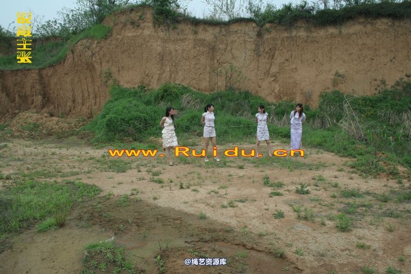 锐度主张 - 4月8日网友聚会室外篇3 第 2 张图片