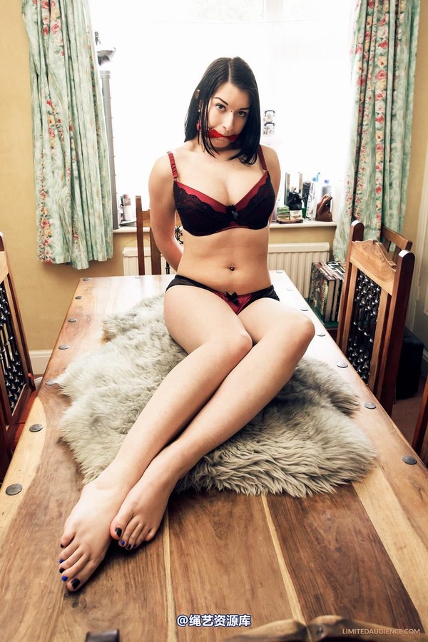 limitedaudience - 2013 stacey von table ties 2 第 12 张图片