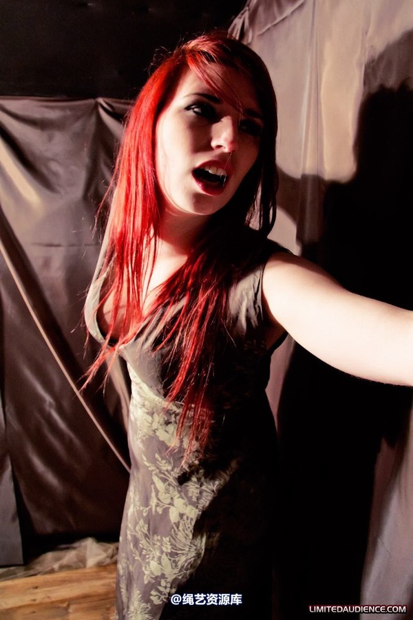 limitedaudience - 2011 ivory penance at home 第 3 张图片