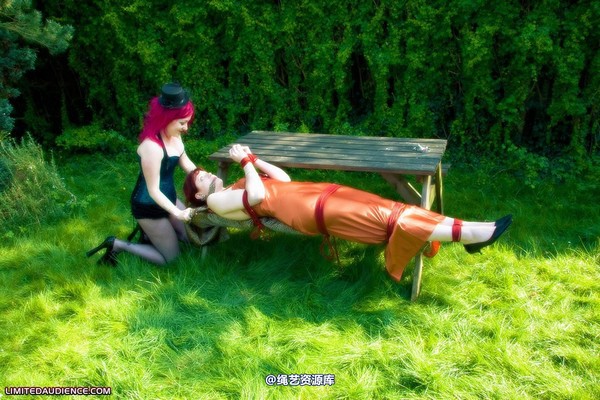 limitedaudience - 2009 scarlett shrinking violet the trap is set 第 12 张图片